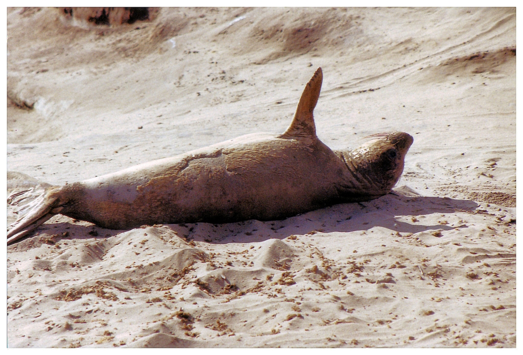 15 - Monterey Bay (6).jpg